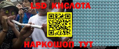 кокс Донской