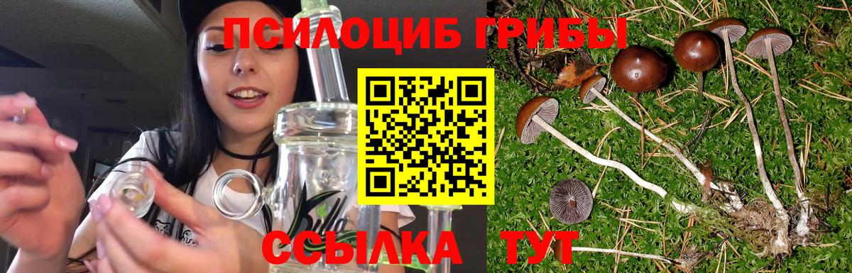 Лосино-Петровский  Псилоцибиновые грибы Cubensis  Вход с VPN 