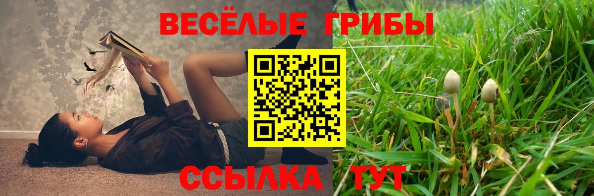 Псилоцибиновые грибы MAGIC MUSHROOMS Лосино-Петровский